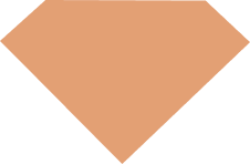 Polishing Excellence